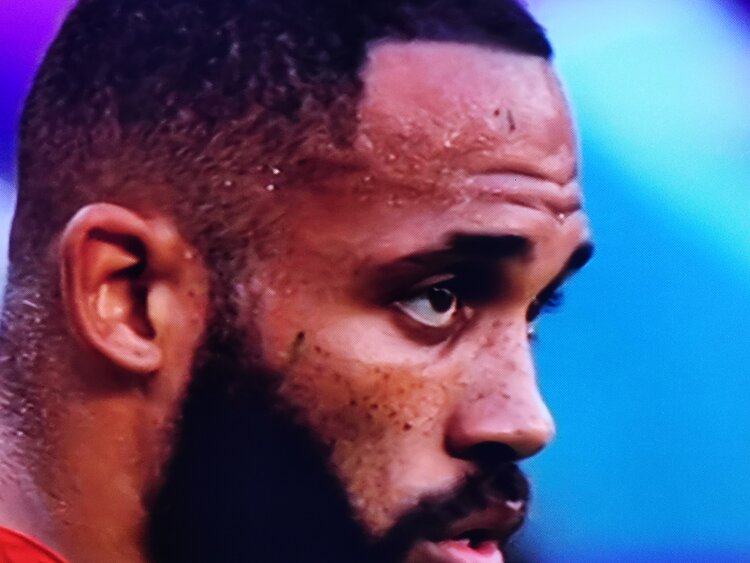 世界杯观后感阿根廷荷兰,世界杯足球赛事有感