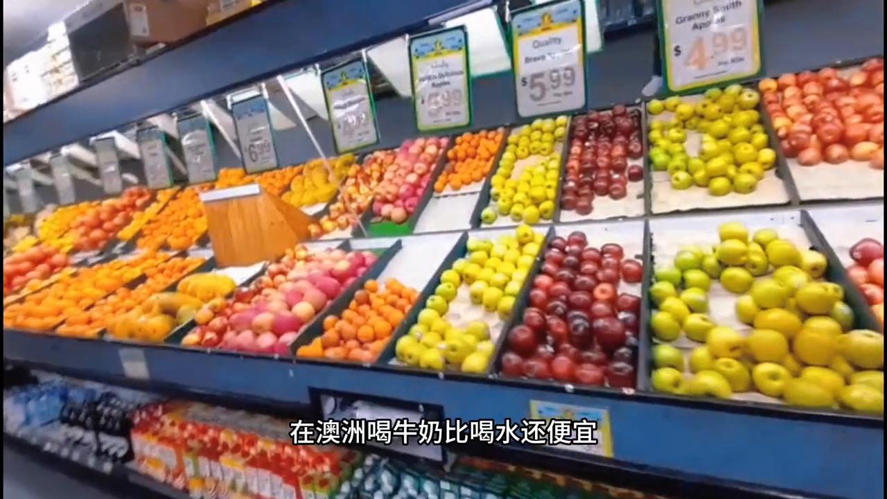 路的尽头是大海视频,路的尽头真的是大海