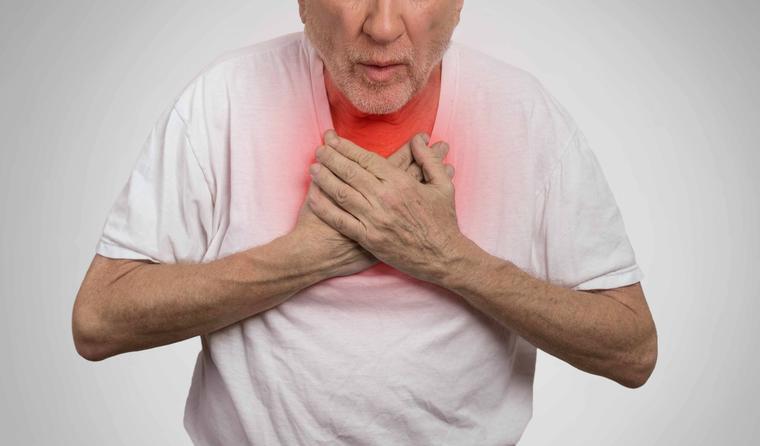 建议不要吃的鱼有重金属,禁止食用的八种鱼