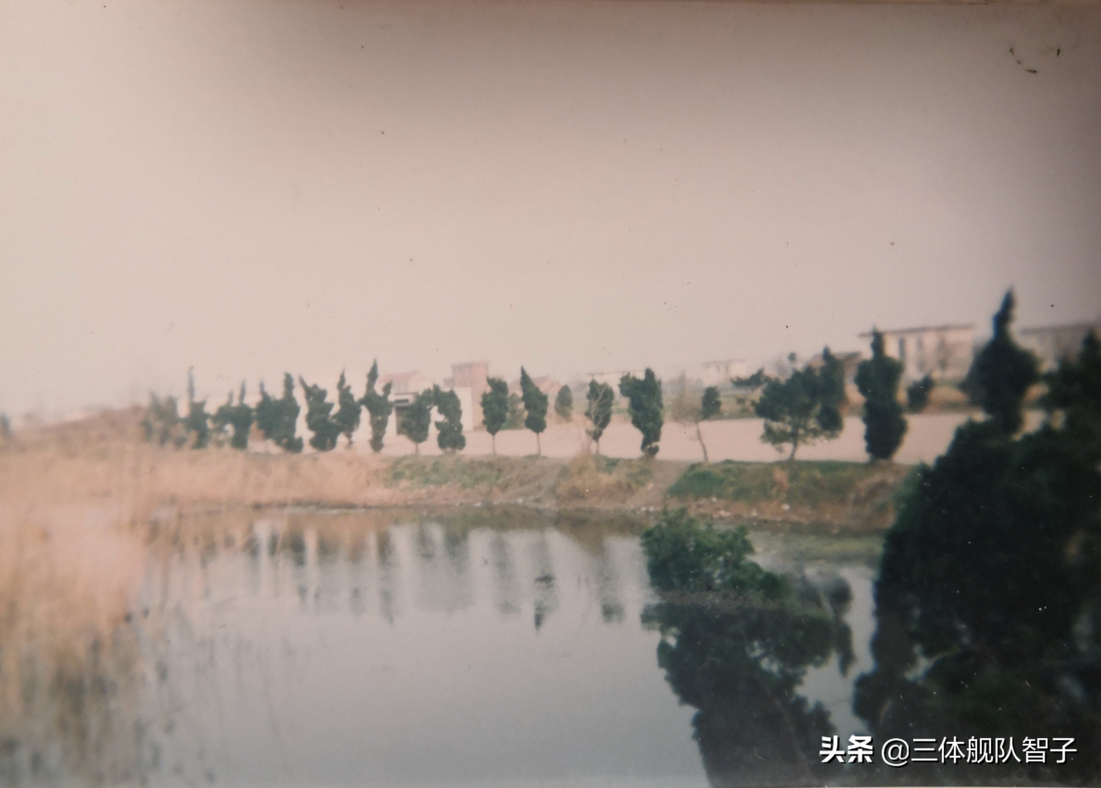 回到二十多年前的校园,重新回到十年前的小学