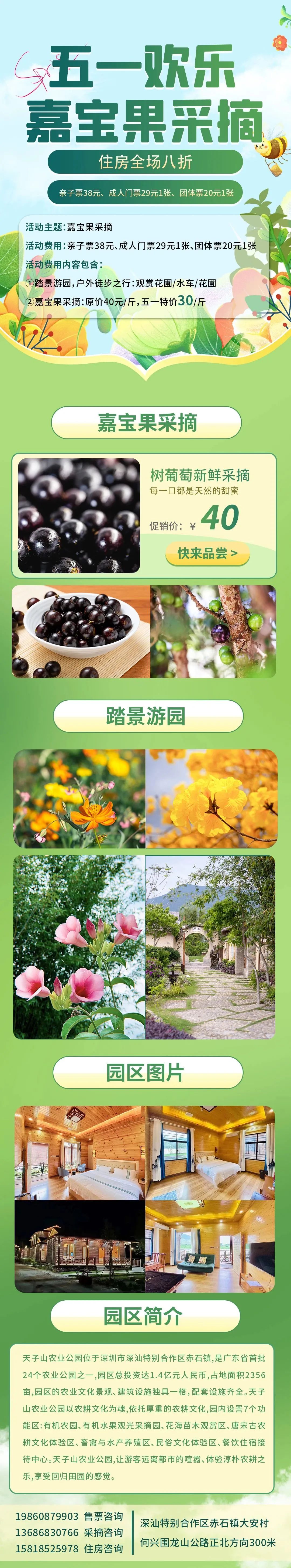 15个打卡景点8条旅游线路！最新五一深汕游攻略，官方推荐！