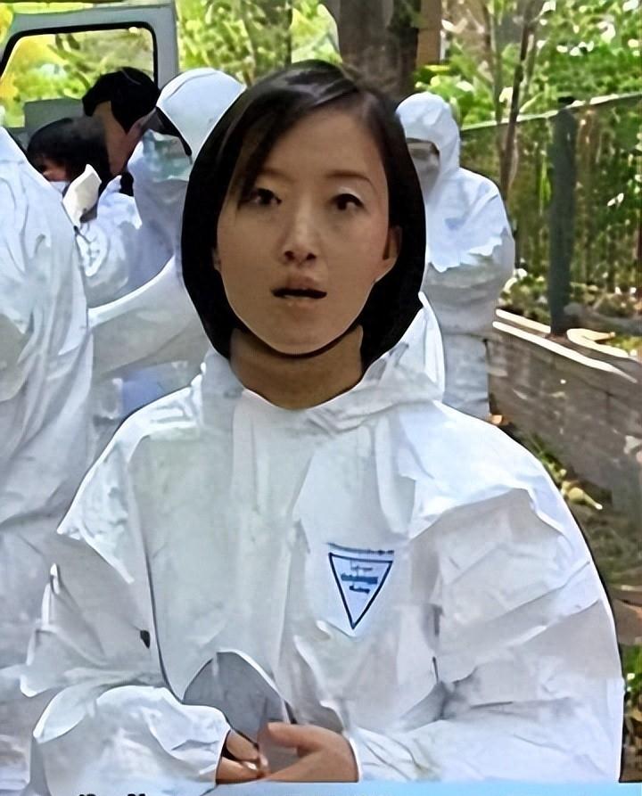 从天之骄女到卑微下跪,柴静为什么会被称为公知女神