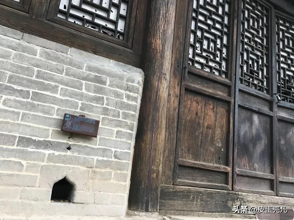 庄稼地里的野兔怎么驱除,地里野兔太多有没有驱赶的好方法