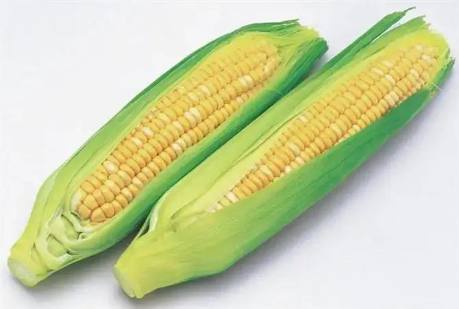 喜欢吃玉米的别错过，盘点国内十大优质玉米产地