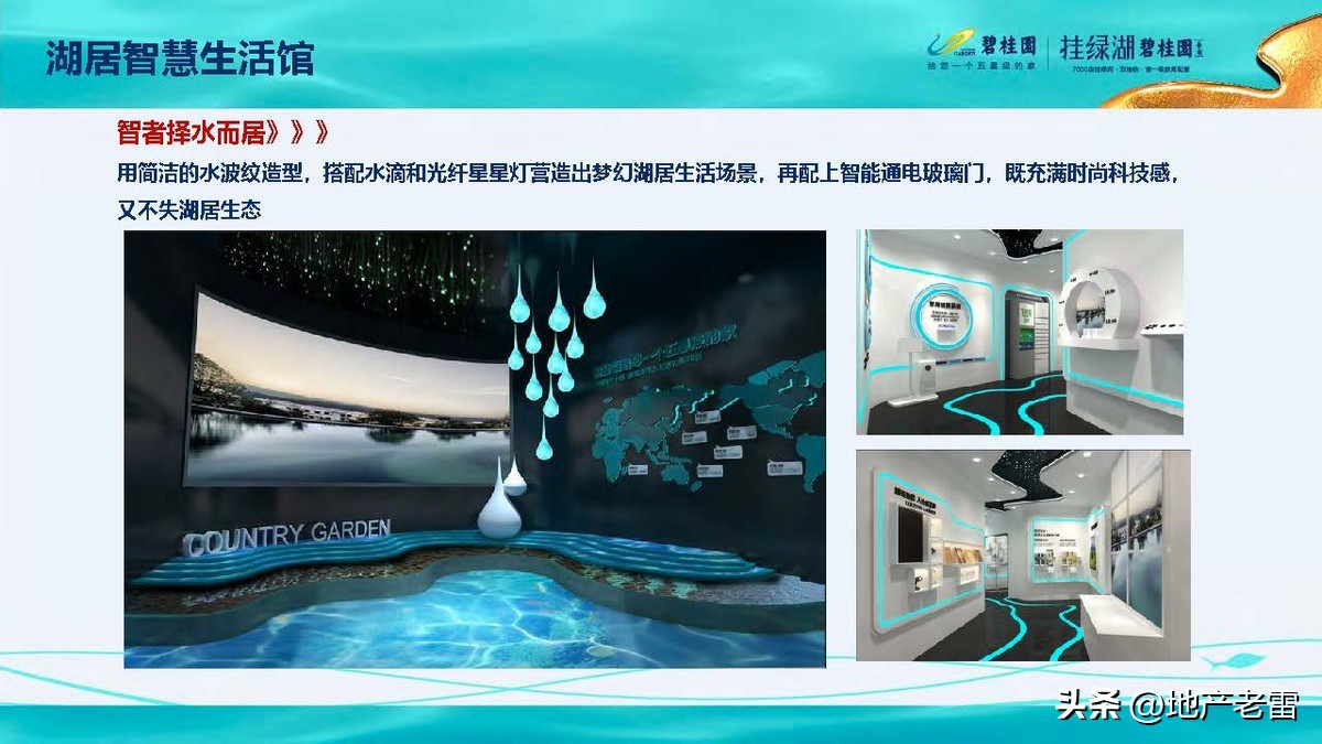 碧桂园精准发展方案,碧桂园的商品房改造方案