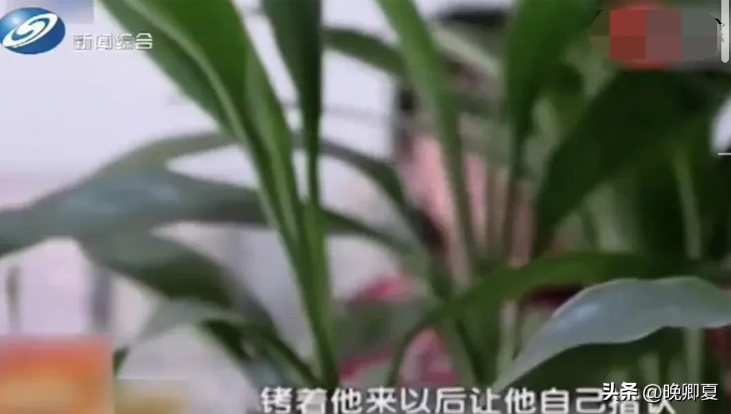 父亲侵害继女，母亲却浑然不知，这是重组家庭的悲哀，谁能懂