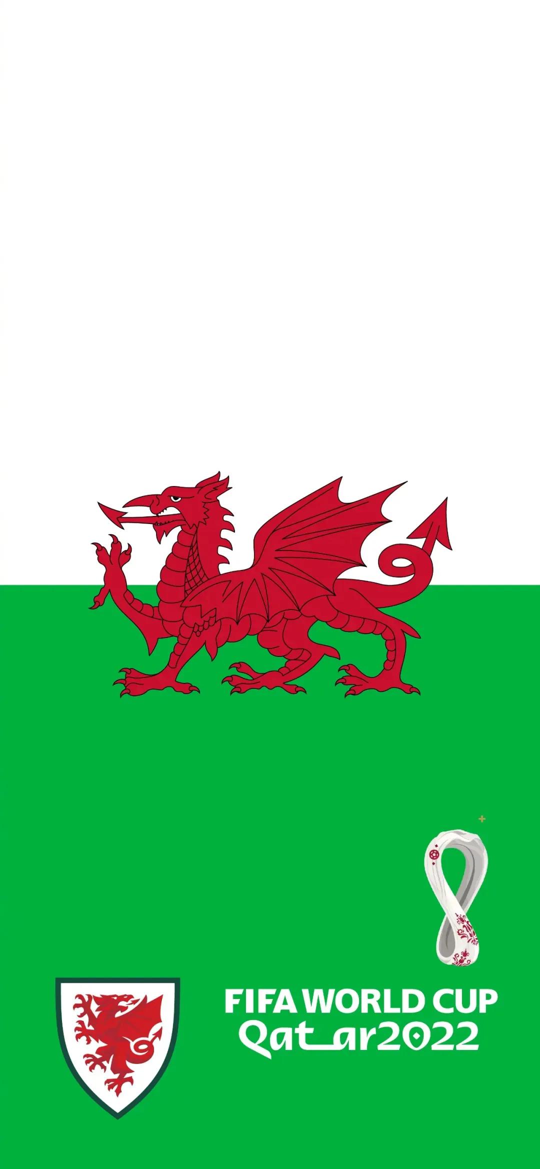 世界杯球队壁纸,世界杯球队外号大全