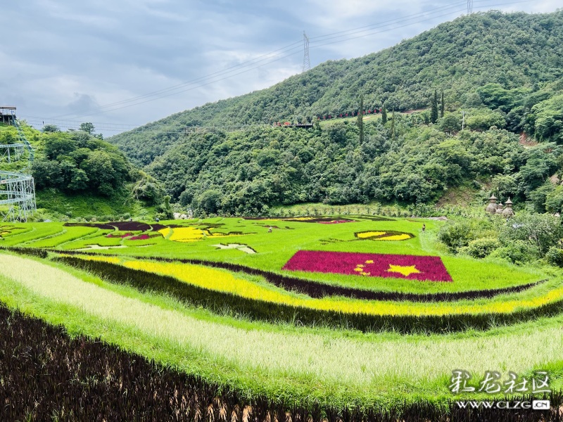 昆明市团结乡核桃箐彩色稻田,团结乡黑核箐彩色稻田