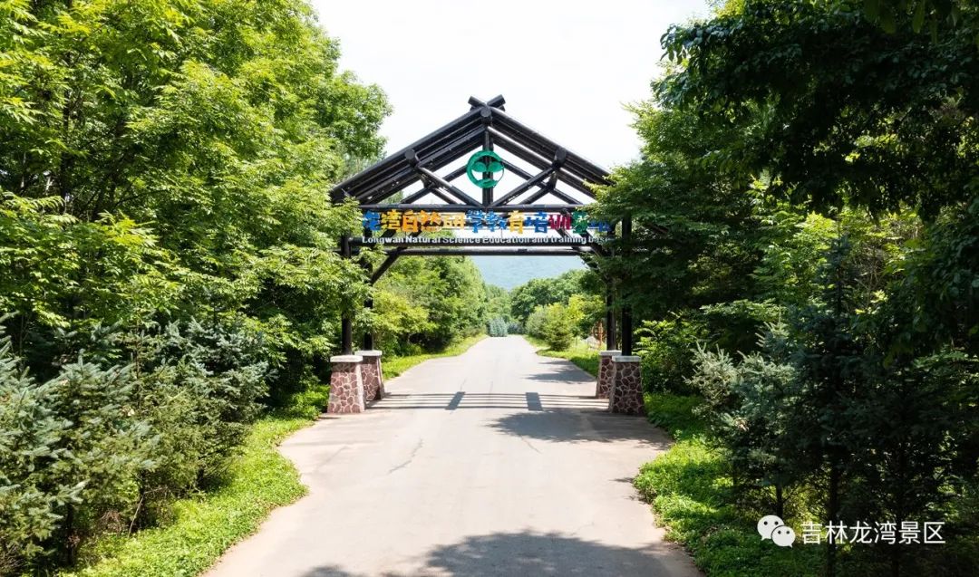 长春高新第二实验中学培育的人才,长春高新第一实验学校研学