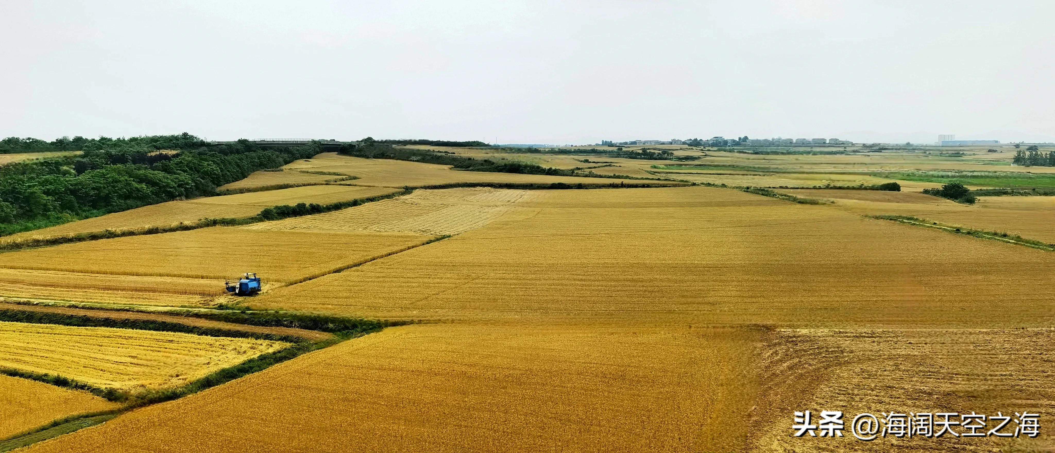 风吹麦浪完整版,风吹麦浪