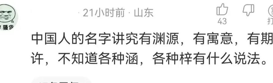 不是吧，给孩子取名“木曦”很傻吗？来看看评论区的神通！