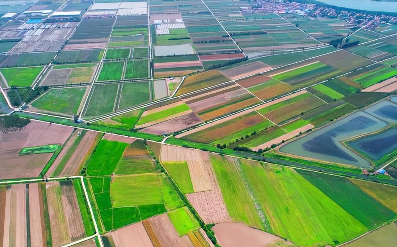 植保黑科技助力绿色农业,栽培技术植保技术决定农产品质量