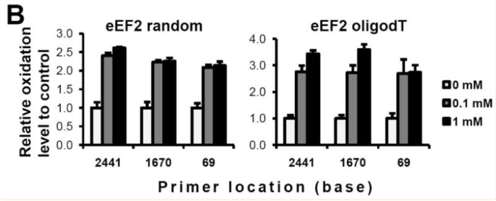 血红素蛋白结构与功能,血红素蛋白的作用效果