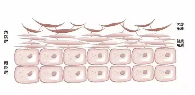 怎么护肤皮肤又细又滑又紧致,怎么护肤让皮肤更细滑一点