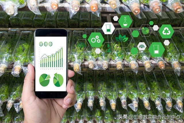 新型家庭农场的致富路,农村的家庭农场的经营模式