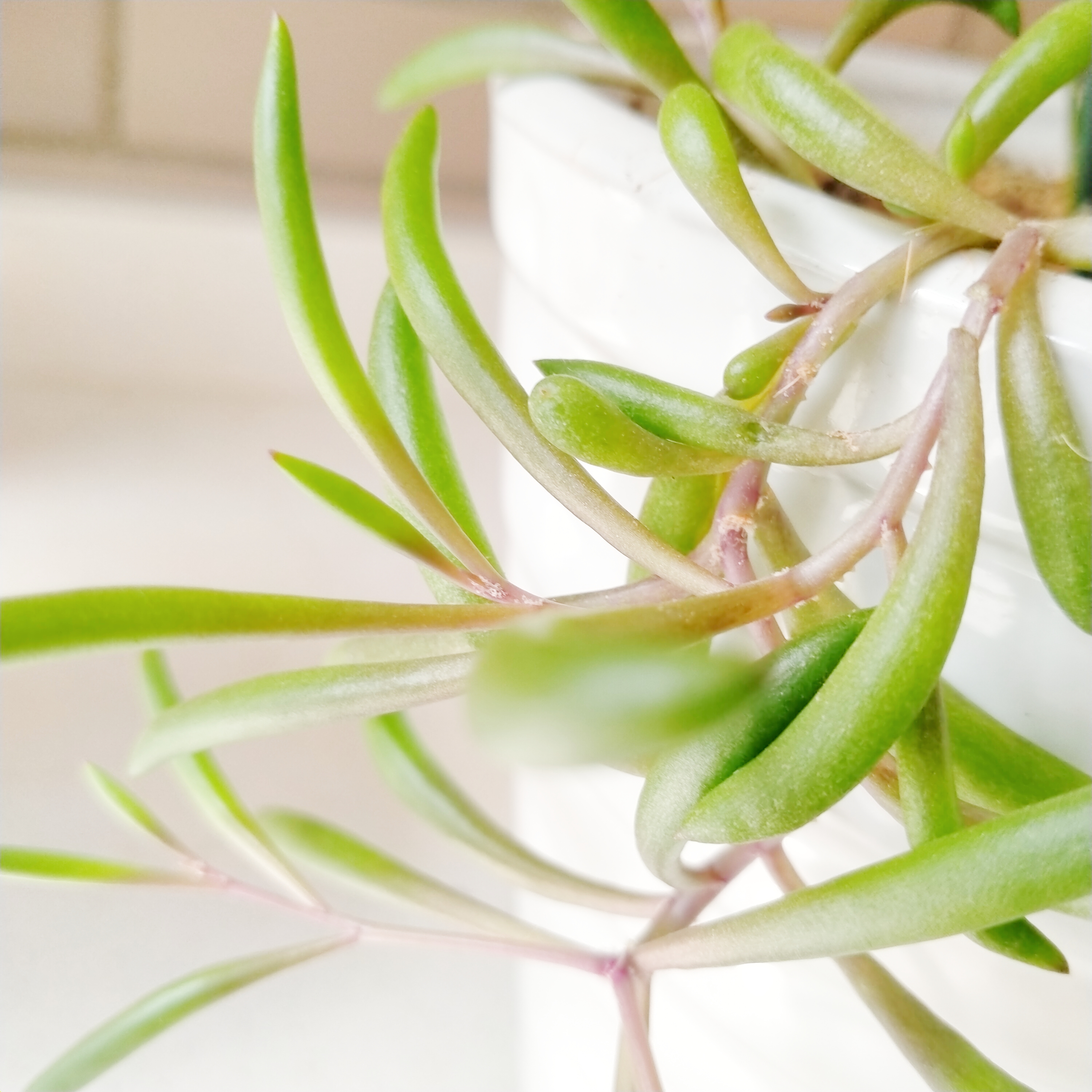 熬过山重水复迎来柳暗花明,捱过苦夏寒冬终遇柳暗花明