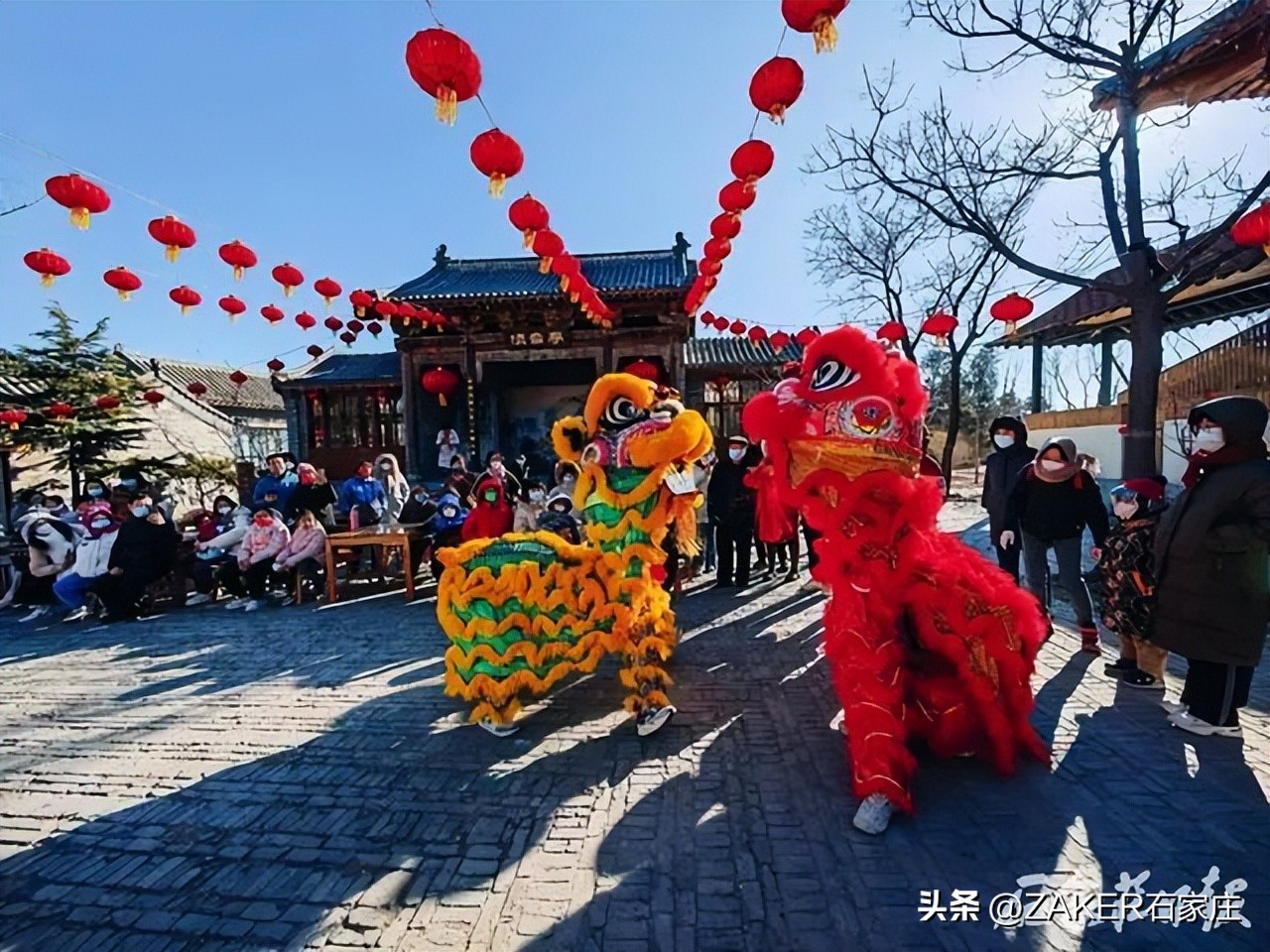 早新闻1.31|退役军人高考加分政策来了;河北省成人高考(延考)公告发布;石家庄8家入选省级旅游休闲街区