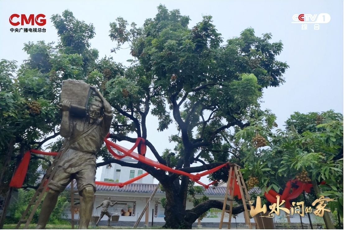 爱拼才会赢塘东取景,爱拼才会赢婚礼平潭