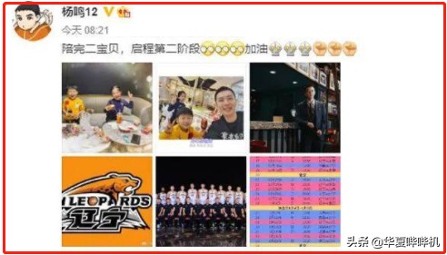 杨鸣为什么不打球了,杨鸣为啥这么受人尊敬