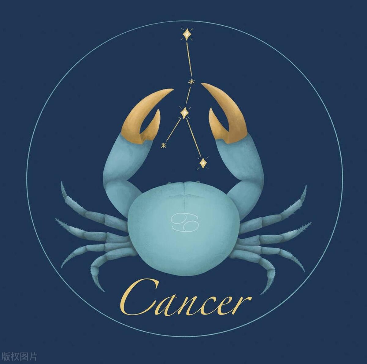 星座大比拼谁最聪明,星座揭秘啥星座最好