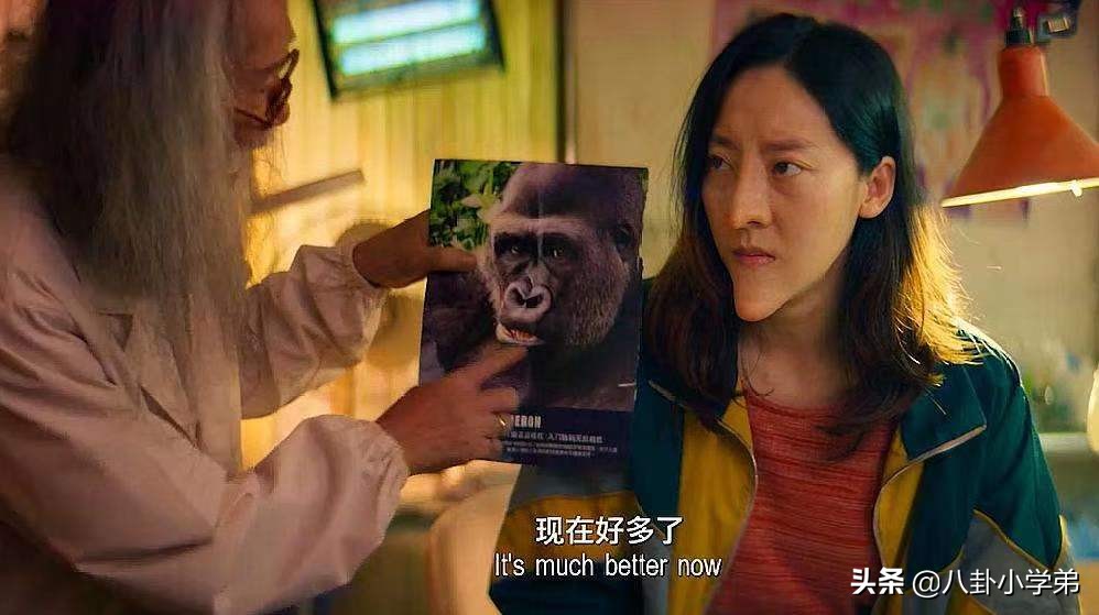 周星驰致敬的66部电影,周星驰19年电影有哪些已上映