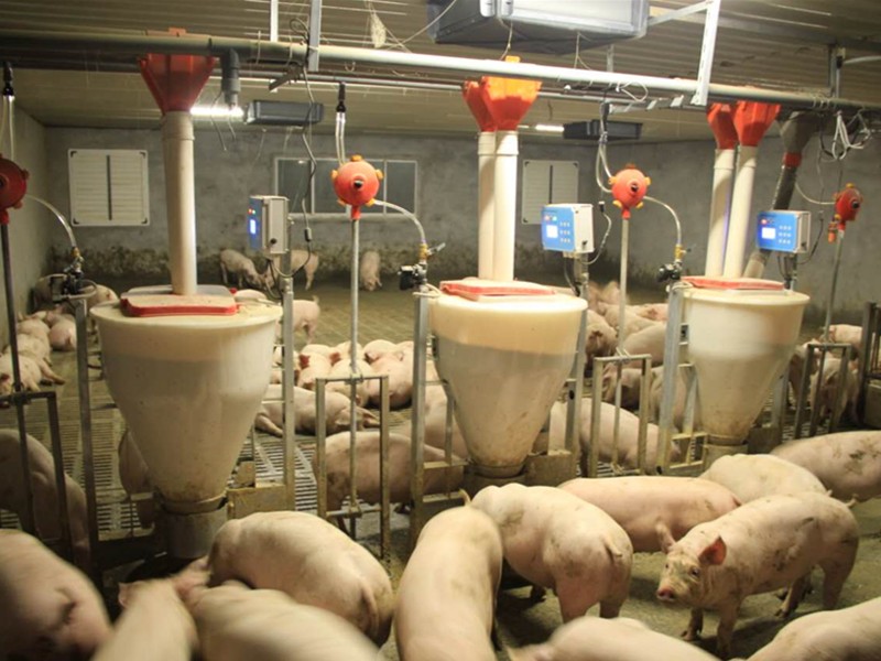 国家投资40亿盖26层高楼养猪，万一赔本怎么办？来算算这笔科技账