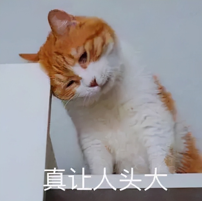 买室内门的坑,室内门如何选更好