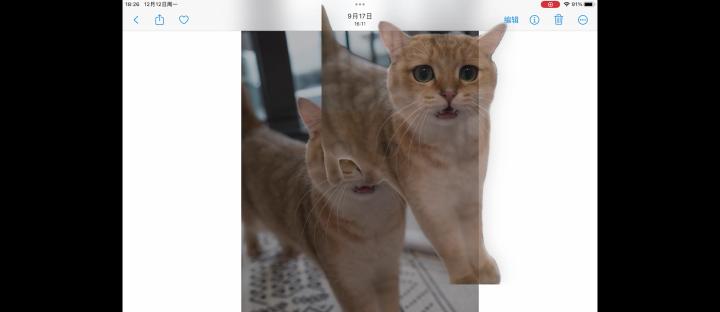 ipad9跟ipad10哪个更好用,ipad9代还原时重置系统很卡