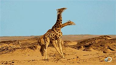 转脖子需要注意什么,转脖子有什么好处和坏处