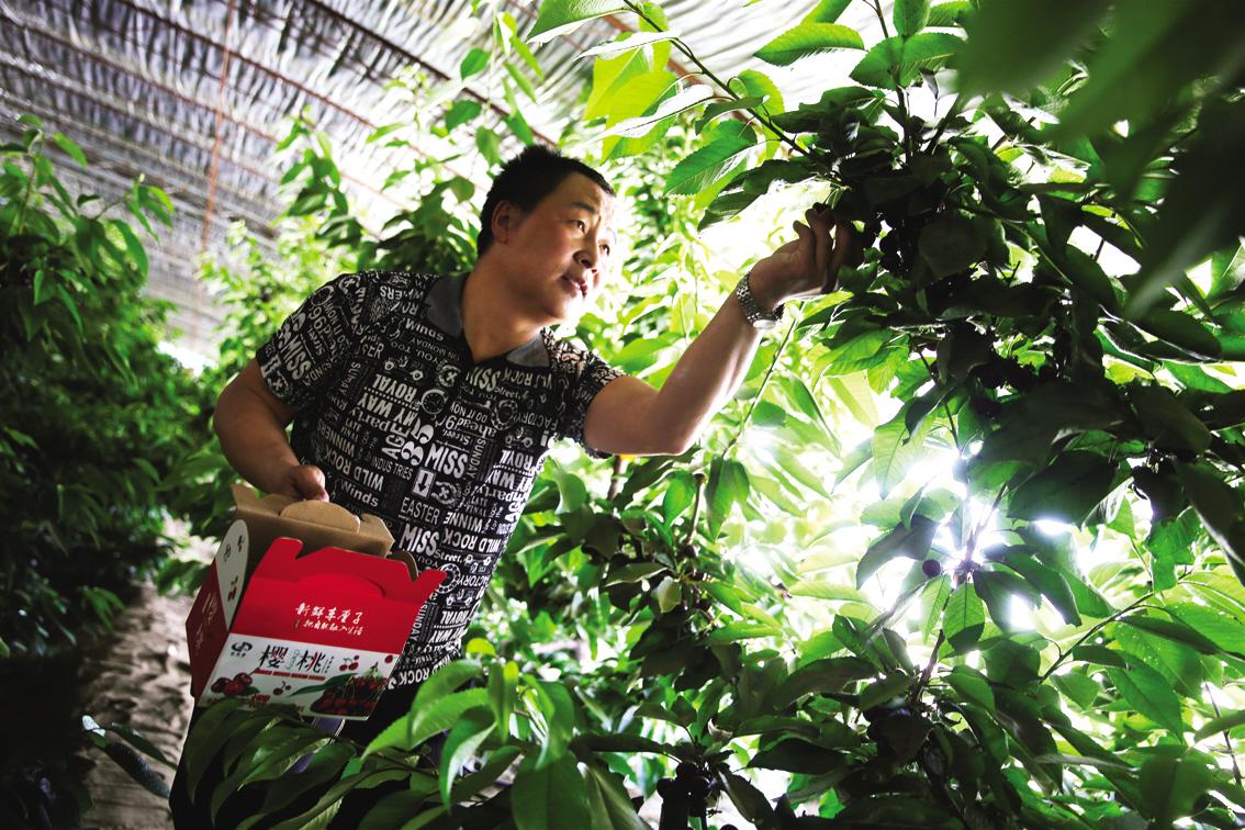 包头周边适合自驾游的草原,内蒙古包头旅行度假