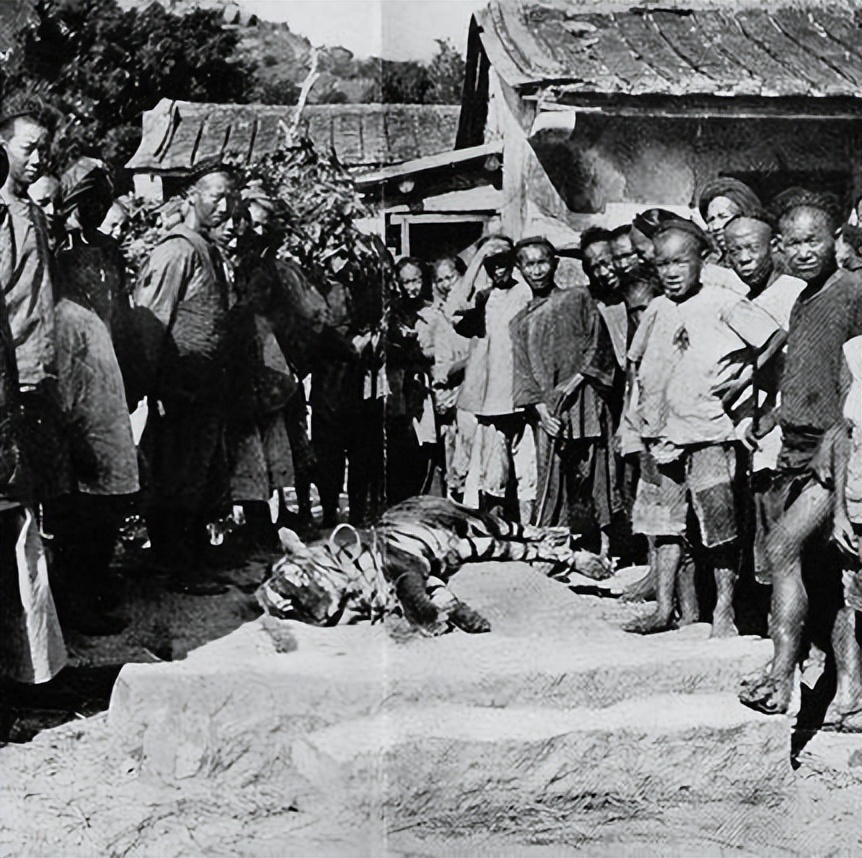 高高的紫云山,我们的青春故事曾在这里演绎