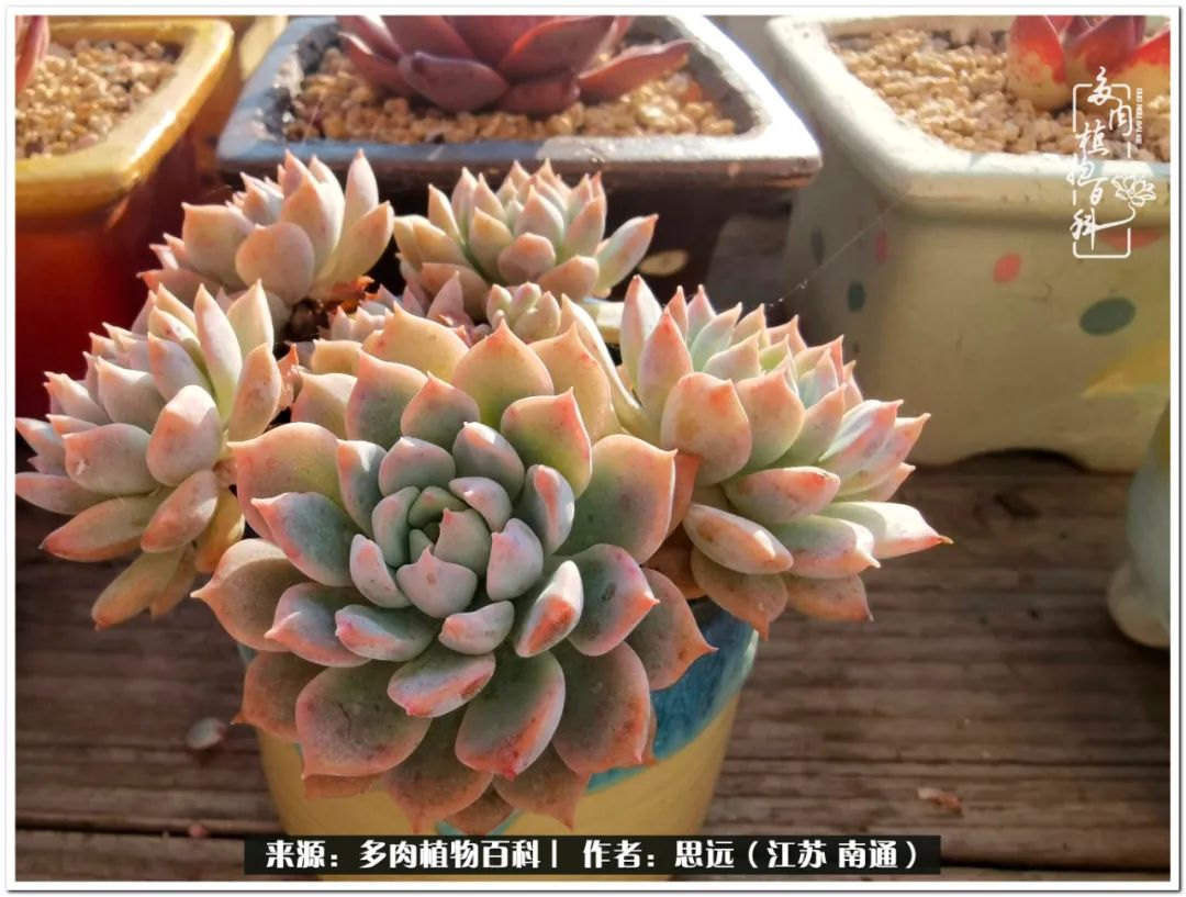 隔着时间的深爱，来自秋天的私语