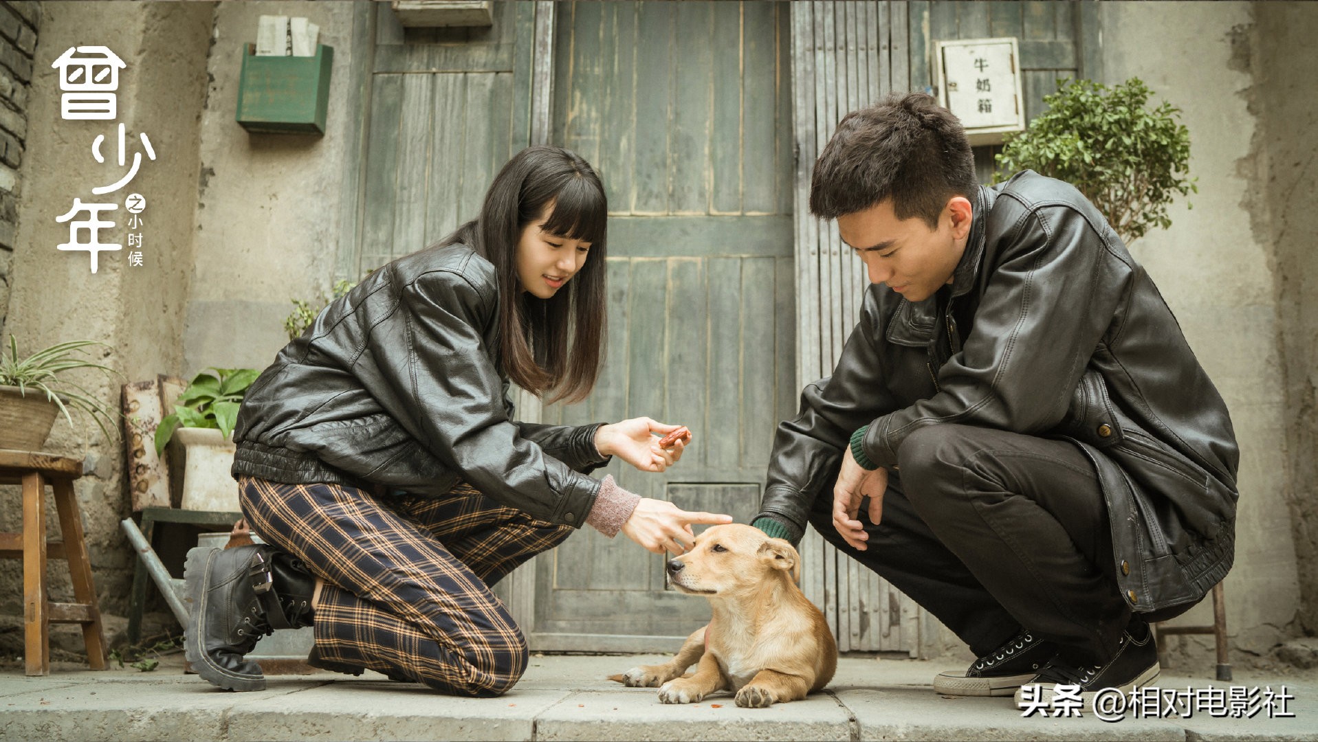 2023年哪些剧值得推荐,2023必看十部剧