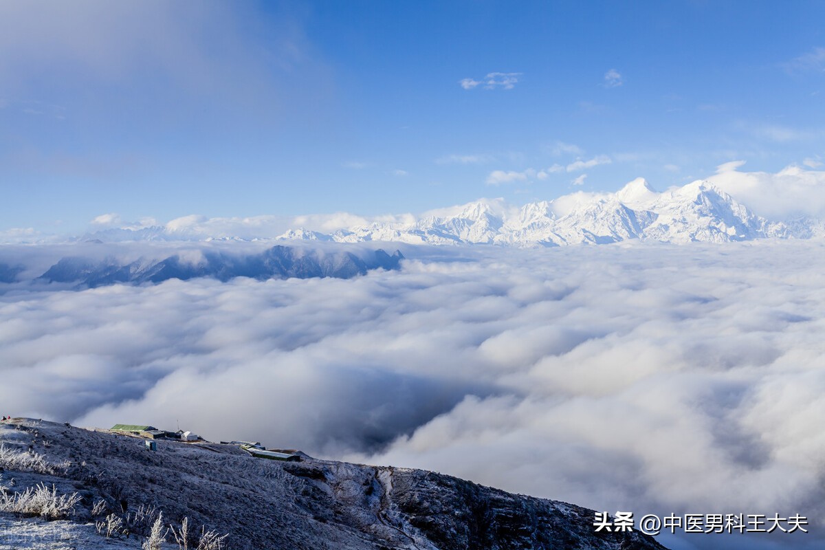 湿热型慢性前列腺炎中医怎样调理,慢性前列腺炎中医调理多久有效果