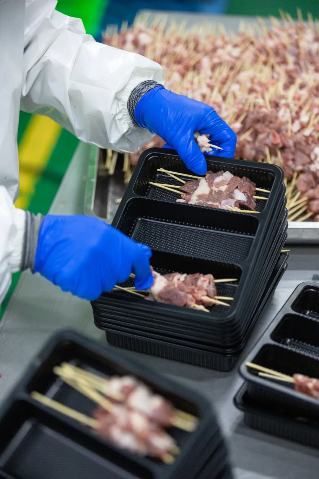 甘肃金昌的羊肉和盐池滩羊,盐池滩羊和横山羊肉