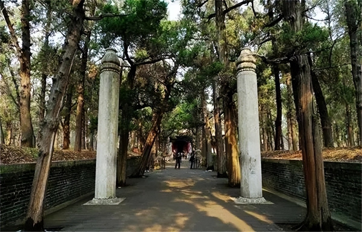 山东孔林为何能乌鸦远避，蛇类不侵？老祖宗的智慧让人叹服