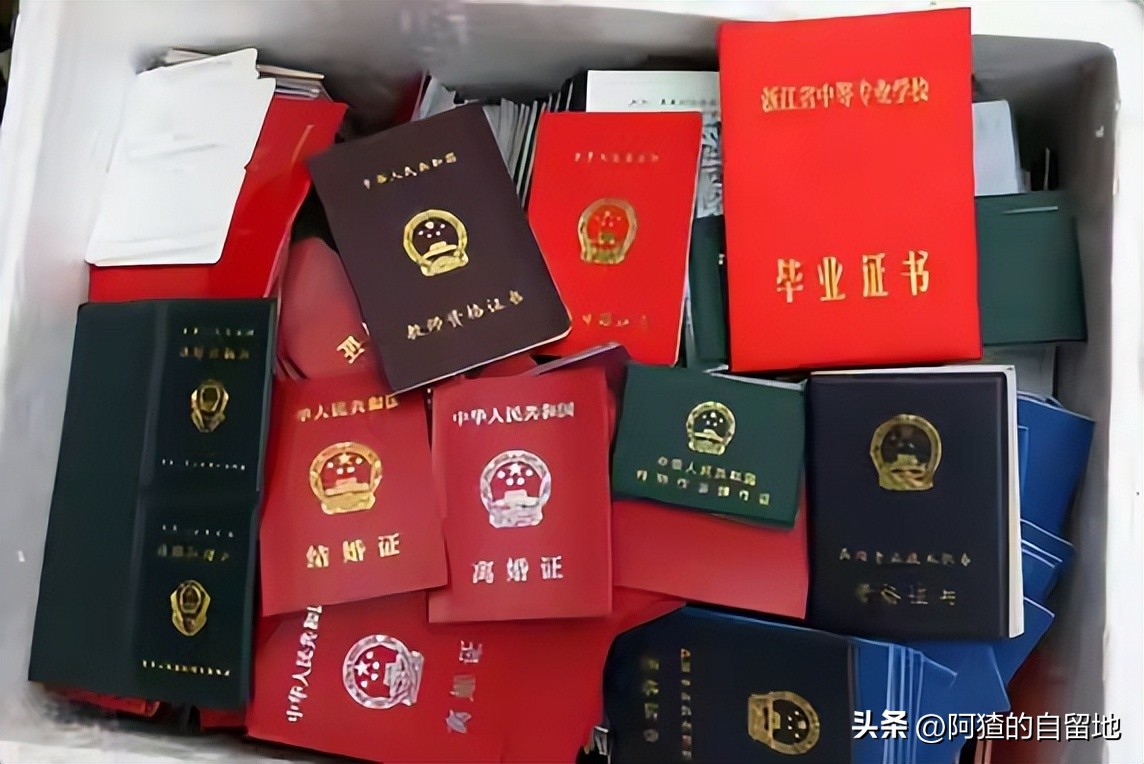 假少将董大维完整版,假少将董大维和杨树宽