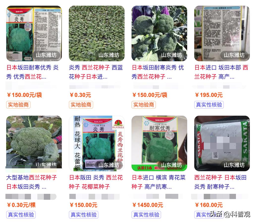 日本垄断中国市场百分之多少,日本垄断的西兰花