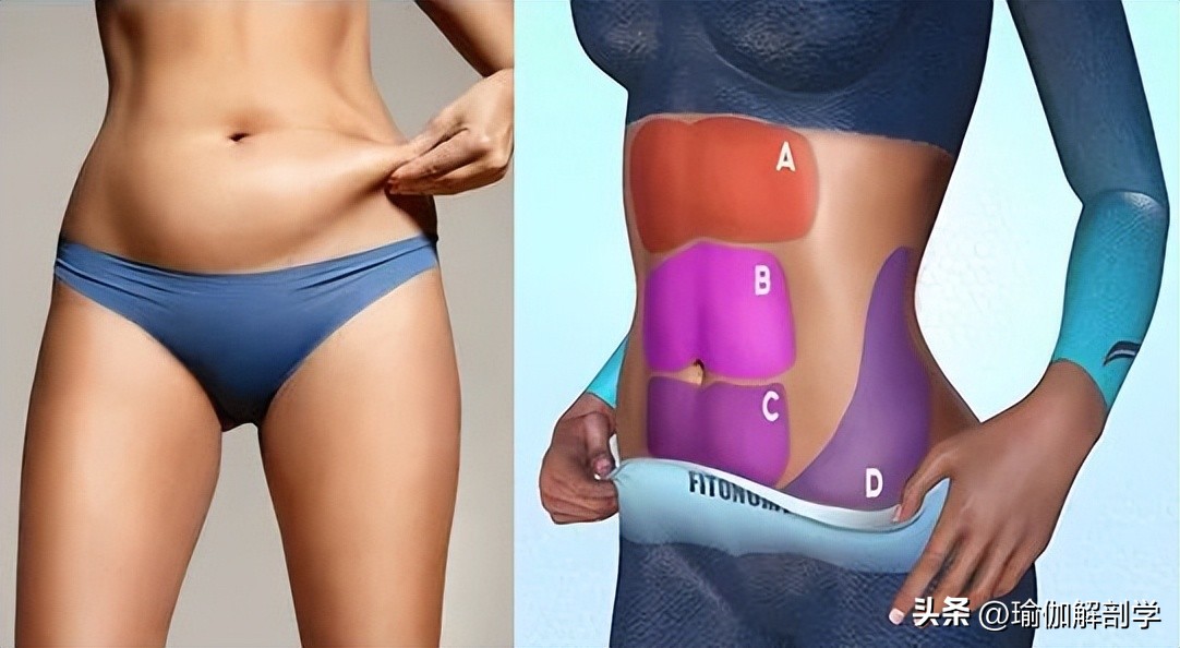 在家练瑜伽减肚子的基本动作,初练瑜伽减肚子简单动作