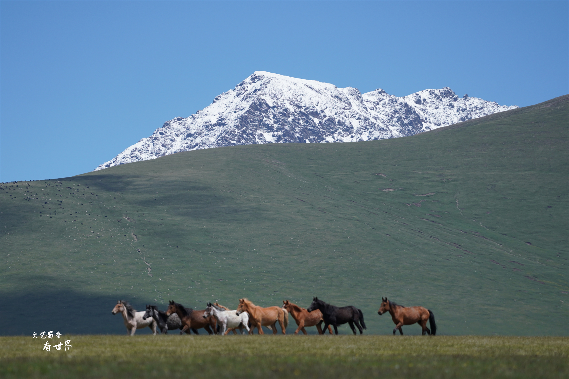 为何说*疆新**旅游一定要去巴音布鲁克草原？而且景区最好选择傍晚去
