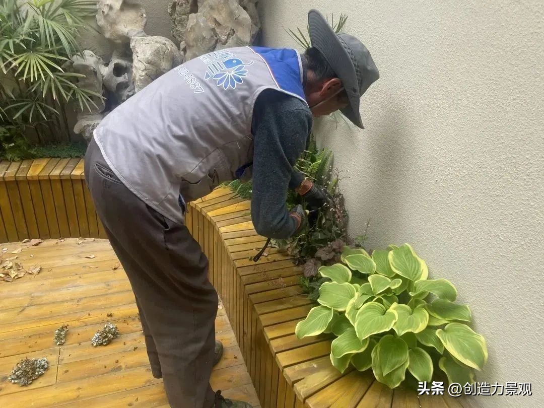 “满园春色”老客户回访日——最美人间四月天，不负*光春**不负你