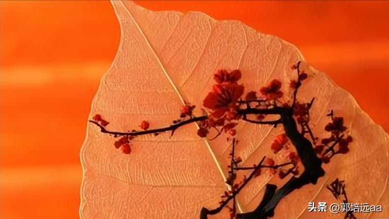 一小伙卖树叶一天挣12000,贵州女子巧用树叶赚大钱