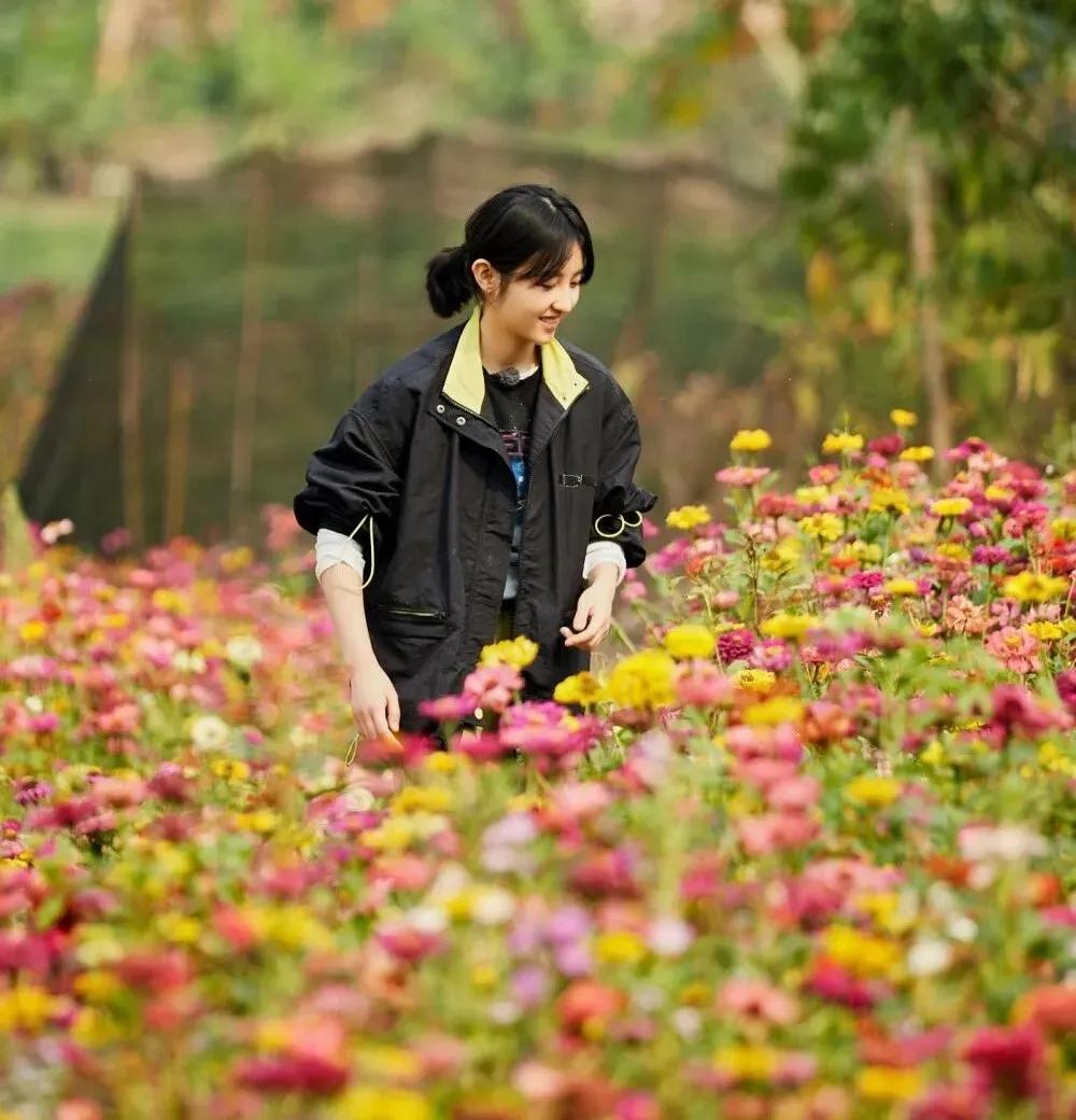 爱豆模板卡点张子枫,张子枫彭昱畅情侣头像