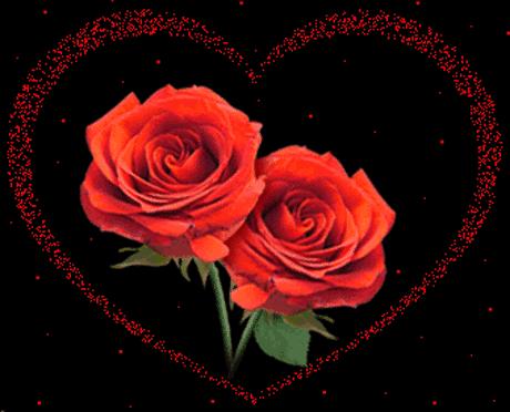 分享一束花图片,分享照片愿你遇到的都是美好