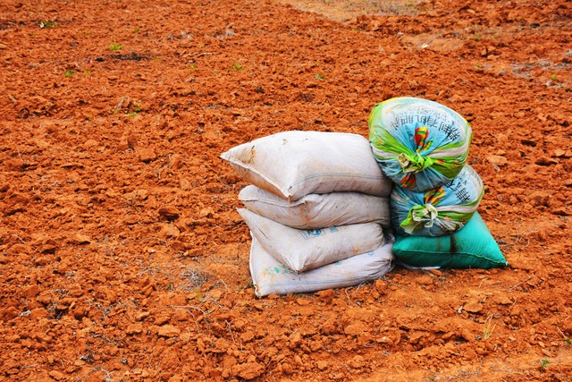 10个少年，192天扎根土地，1场热血难凉、持续加更的青春实录