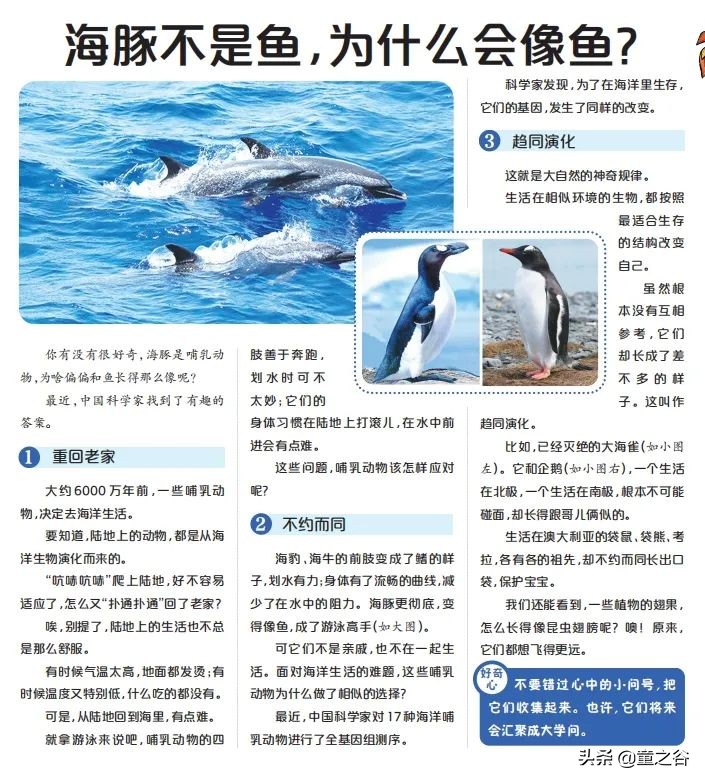 国内第一份新闻故事报,小学生也能轻松读懂时事热点