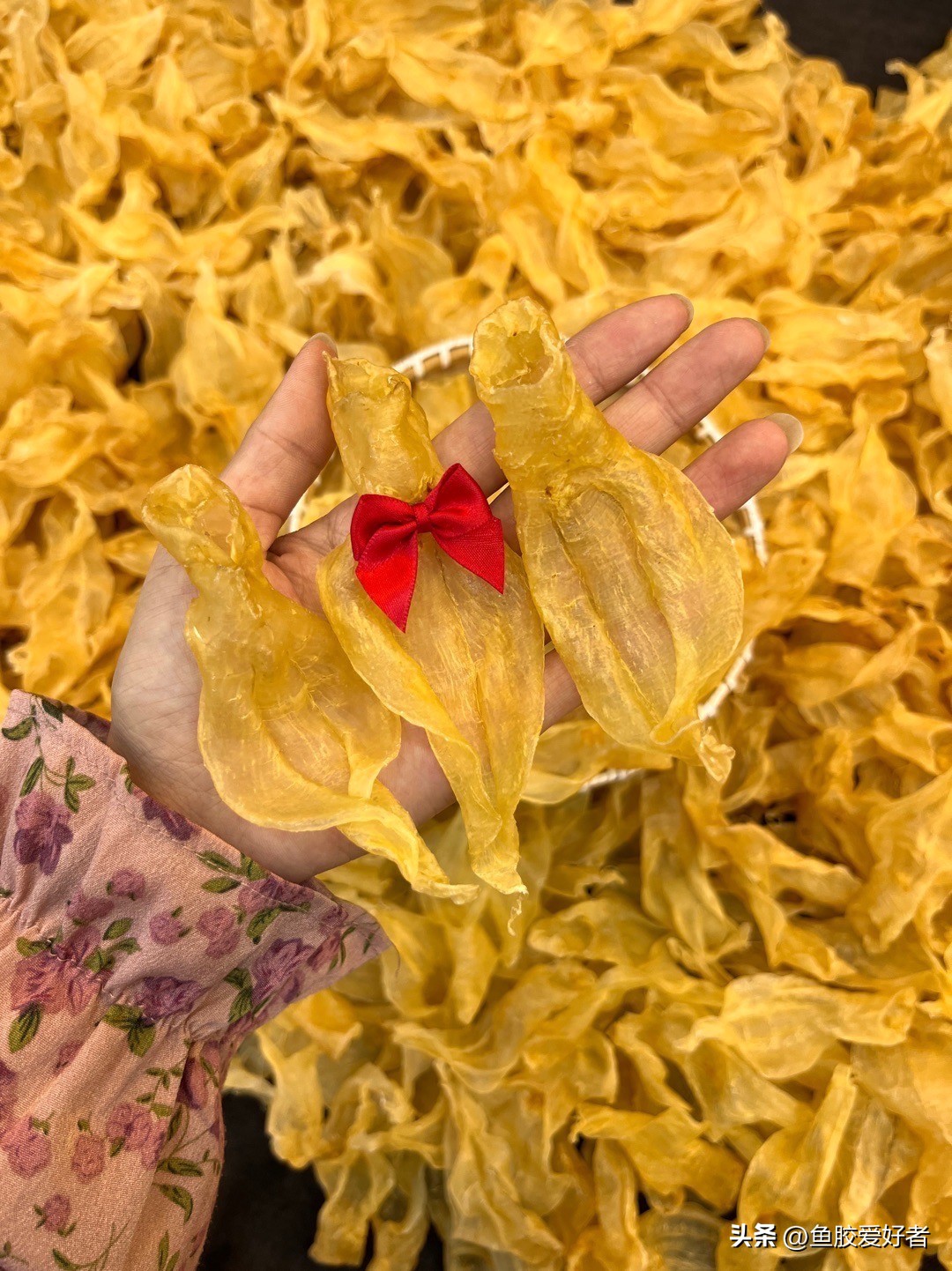 广东的鱼胶是不是智商税,吃鱼胶是交智商税吗