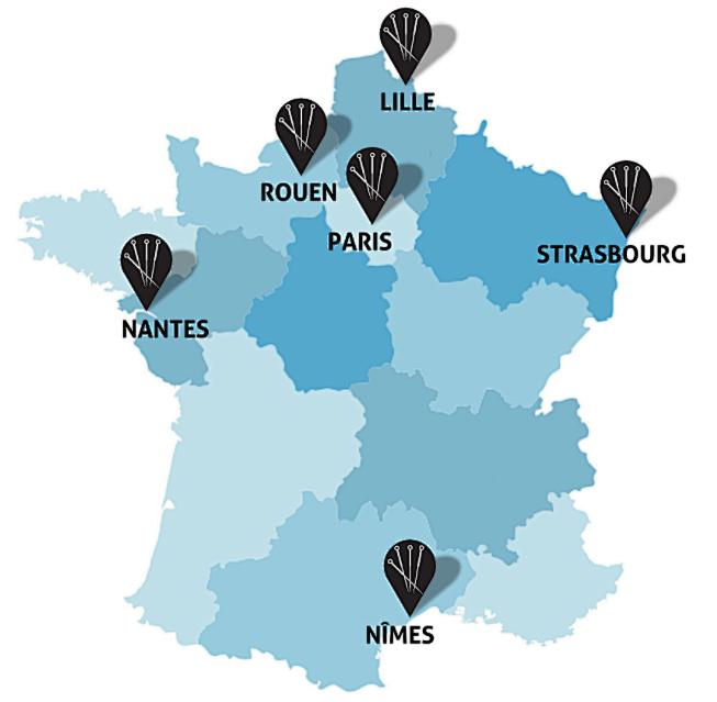 法国的国宝级老中医,中医药治老狗