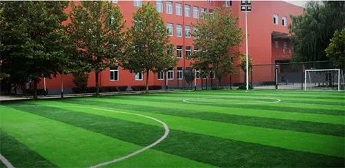 孩子没接触过英语怎么学,孩子没读高中可以读国际学校吗