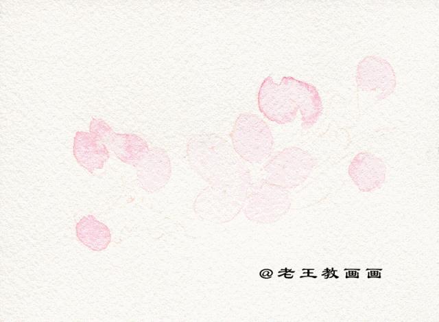 零基础学彩铅画多肉植物,三年级简单画桃花彩铅